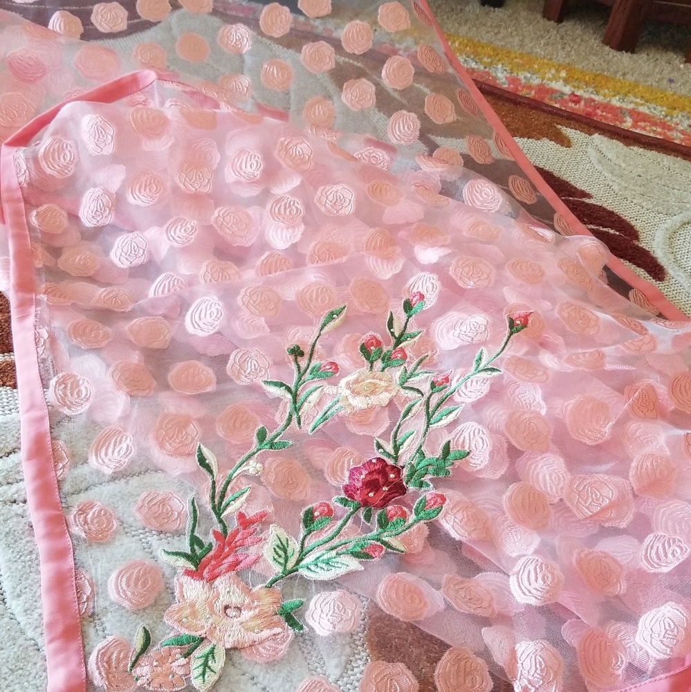 Saree, net, fancy, pink,  unique, sheer with polka dots embroidered all over. - Picture 7 of 8
